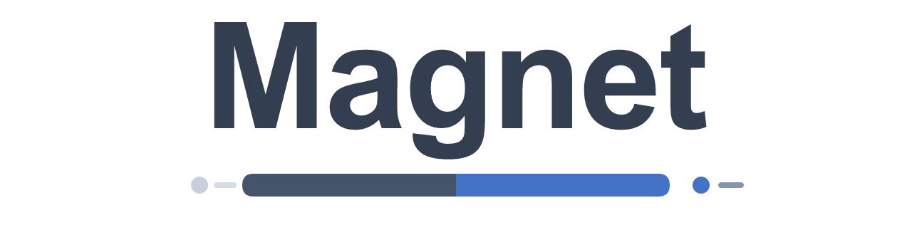 Magnet